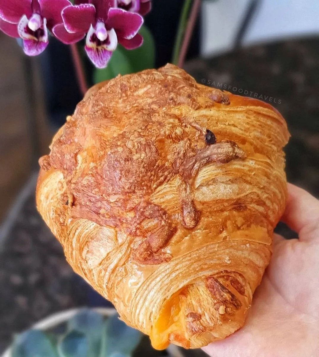 Macaron_Goodies's tweet photo. Sunday the 30th is "croissant day" 
Starting Saturday we will be having free cheese croissant with a purchase of $35 or more, This offer will be available only on Saturday for Edmonton but will be available in the St.Albert shop for Saturday and Sunday! 
https://t.co/H1P0tFd3AS https://t.co/4ozlNnjkA4