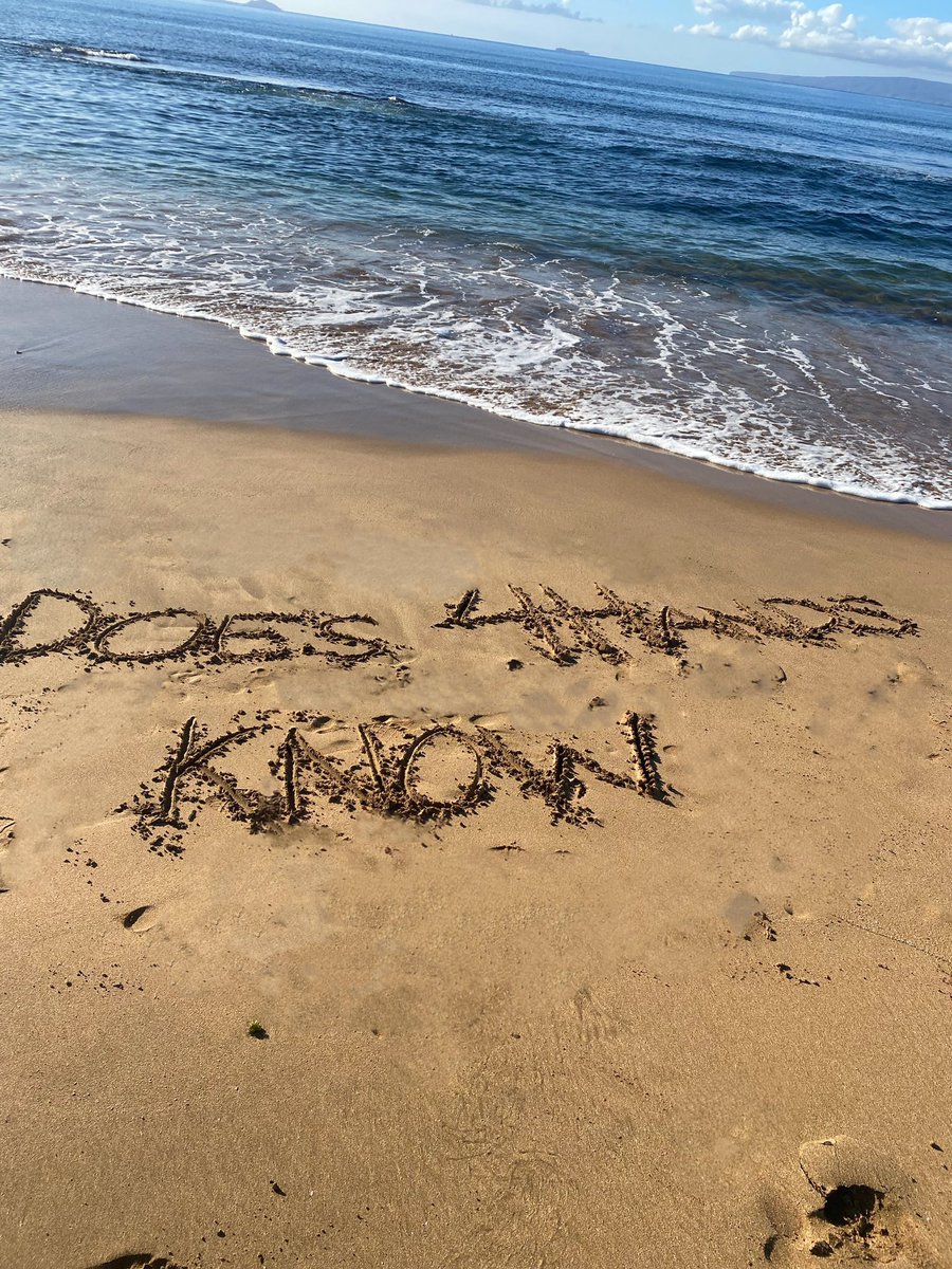 Jerran♻️Higgins (Jeremy Danners backup account) tweet media