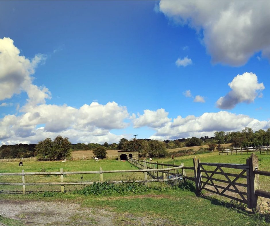 Happy Thursday! Here's a throwback to the summer sunshine at Stable Oak ☀️

💭Have you booked your #summerholiday yet? Why not staycation in Kent surrounded by stunning Stable Oak scenery?

🏡BOOK STABLE OAK HERE: ow.ly/yP7x50HFSF3

#countrysideholiday #stableoakcottages