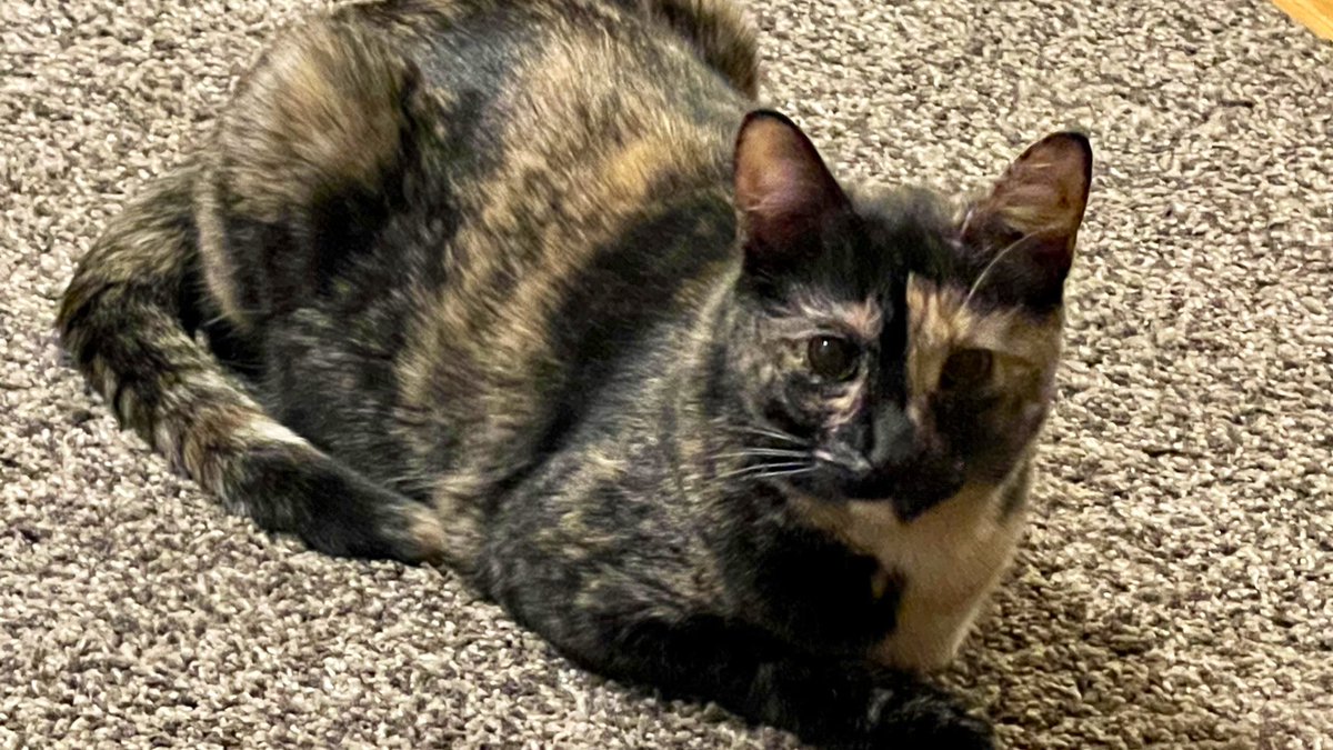 Jean says when the boss spends millions to union-bust, it shows their deep commitment to withholding the wealth your labor builds