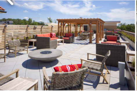 Willow and Maple tweet media