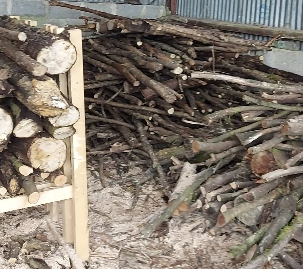 Tree_Lads tweet picture