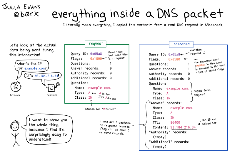 b0rk's tweet photo. everything inside a DNS packet https://t.co/nBntko9E2G https://t.co/MGzkNrlMcx