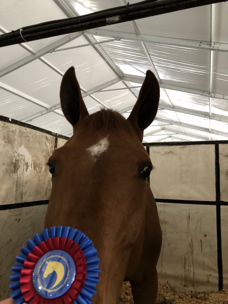 Kate Kosnoff tweet media