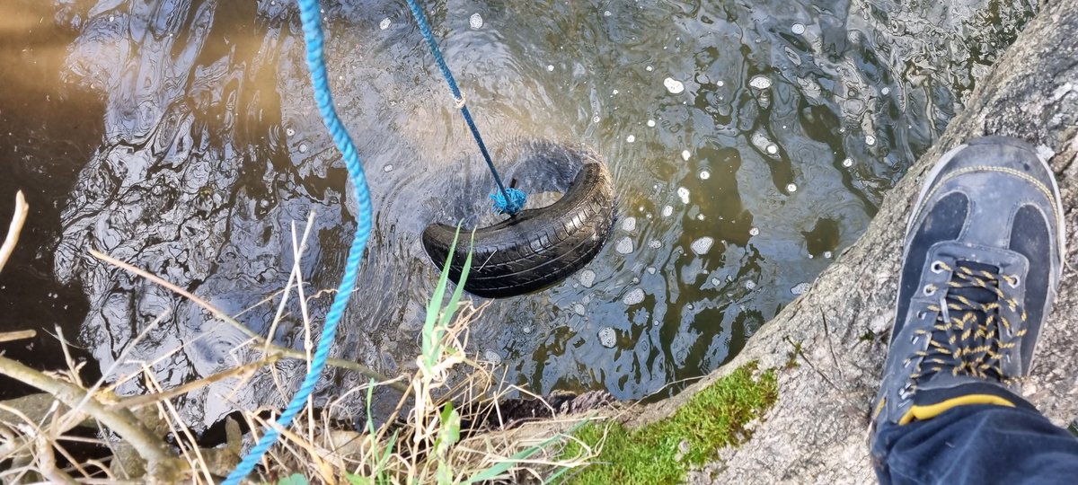 River_cleaner1's tweet photo. When my day changed I thought it was going to end up being very unproductive but luckily it was the opposite.
A copse next to the chalk stream cleared, a litter pick of the pond with tyres and trolleys removed, and two reed beds sorted.

Buzzin

#wildlife #canoe #plasticwaste https://t.co/5EgYOAHKiY