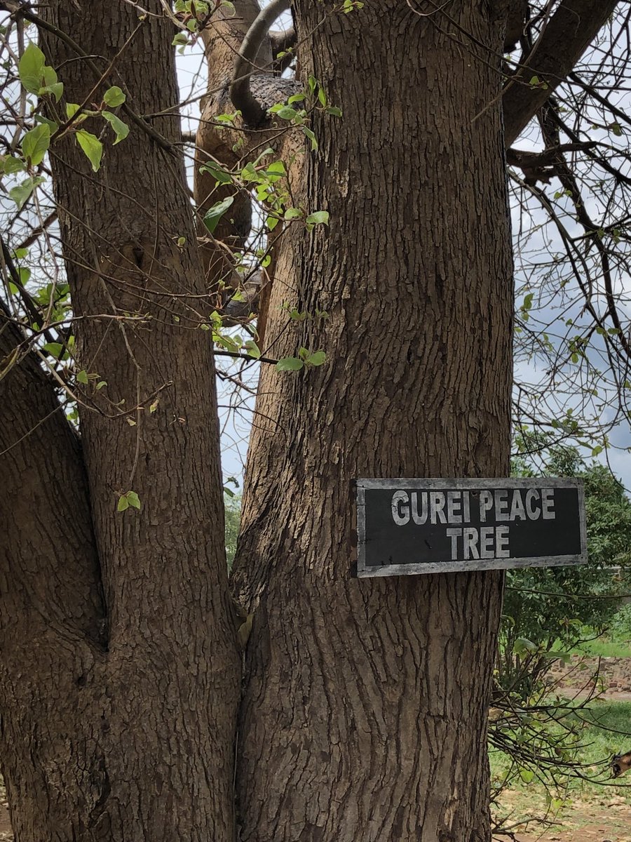 Melanie Greenberg (@melanie4peace) on Twitter photo This is what peace looks like for me - a tree in Juba, South Sudan, where thousands have gathered together to “Take Tea Together” to discuss peace. <a href="/SionPhilippe/">Philippe Sion</a> SionPhilippe and <a href="/LisaSchirch/">Lisa Schirch</a> what does peace look like to you? #RiseToBuildPeace #WeBuildPeace #Peacebuilding This is what peace looks like for me - a tree in Juba, South Sudan, where thousands have gathered together to “Take Tea Together” to discuss peace. <a href="/SionPhilippe/">Philippe Sion</a> SionPhilippe and <a href="/LisaSchirch/">Lisa Schirch</a> what does peace look like to you? #RiseToBuildPeace #WeBuildPeace #Peacebuilding