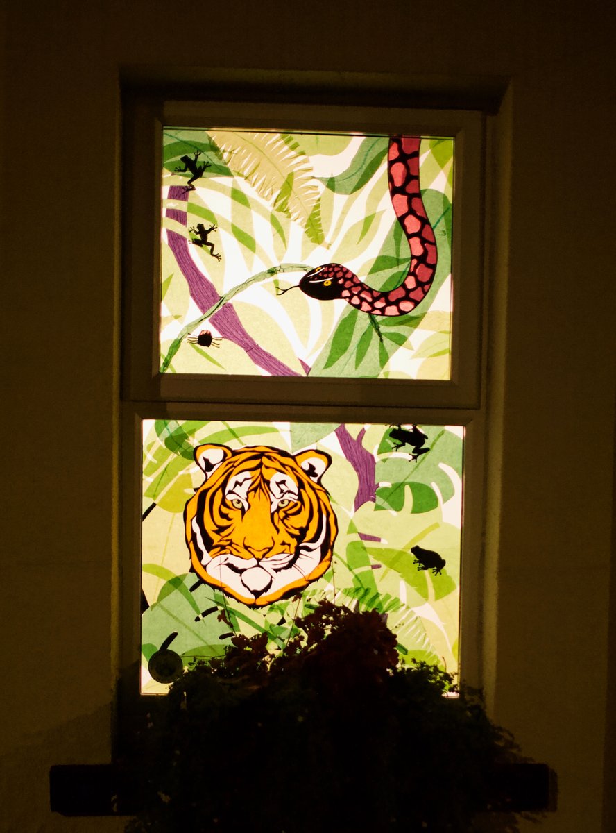 Window Wanderland ✨ tweet media