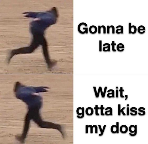 WholesomeMeme's tweet photo. https://t.co/N1mu90AIaG