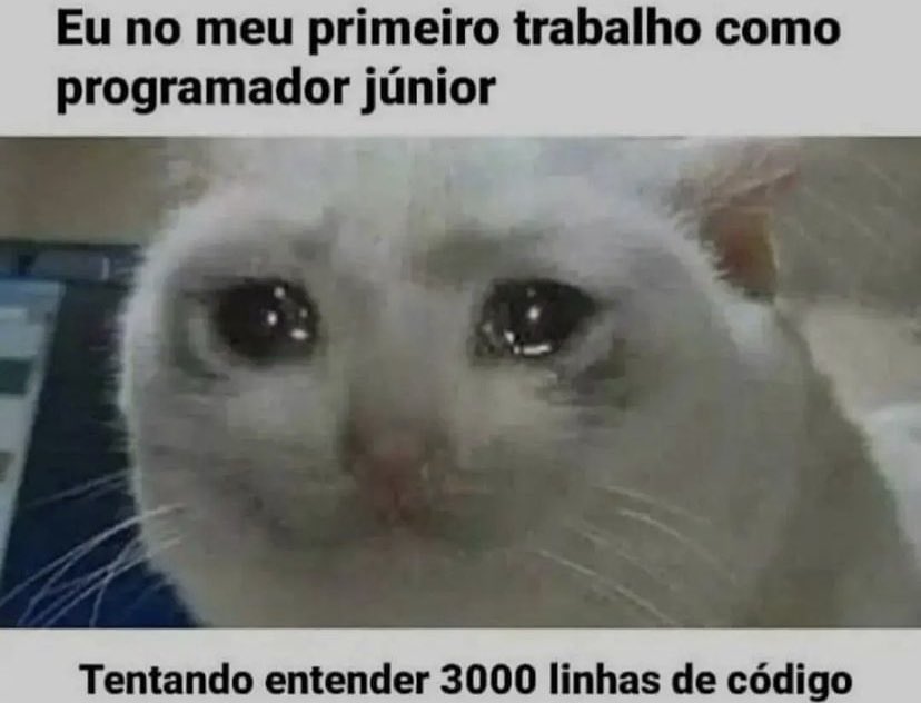 Guilherme Luis ✦ DEV ✦ tweet media