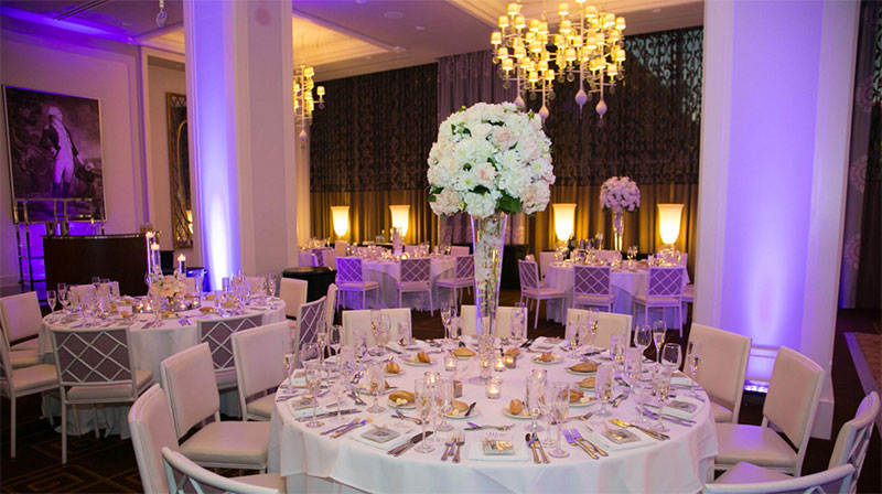 QuickQuoteSys's tweet image. An Instant Reply from @Kimpton Hotel Monaco Philadelphia can save time during the Philadelphia wedding venue selection process: loom.ly/R1cdRE4