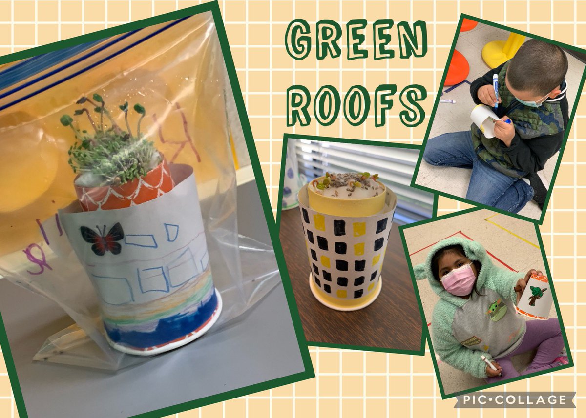 Our little environmental engineers learned all about hydroponics, greenhouses, and the importance of green roofs last week. They did an amazing job designing their own roof top gardens. <a href="/NISDSTEMLabs/">NISD STEM Labs</a> <a href="/NISDCable/">Cable Elementary</a> <a href="/Dpin1967/">Debra Pinon</a> <a href="/olvera_roxanne/">Roxanne Olvera</a> #GoGreen
