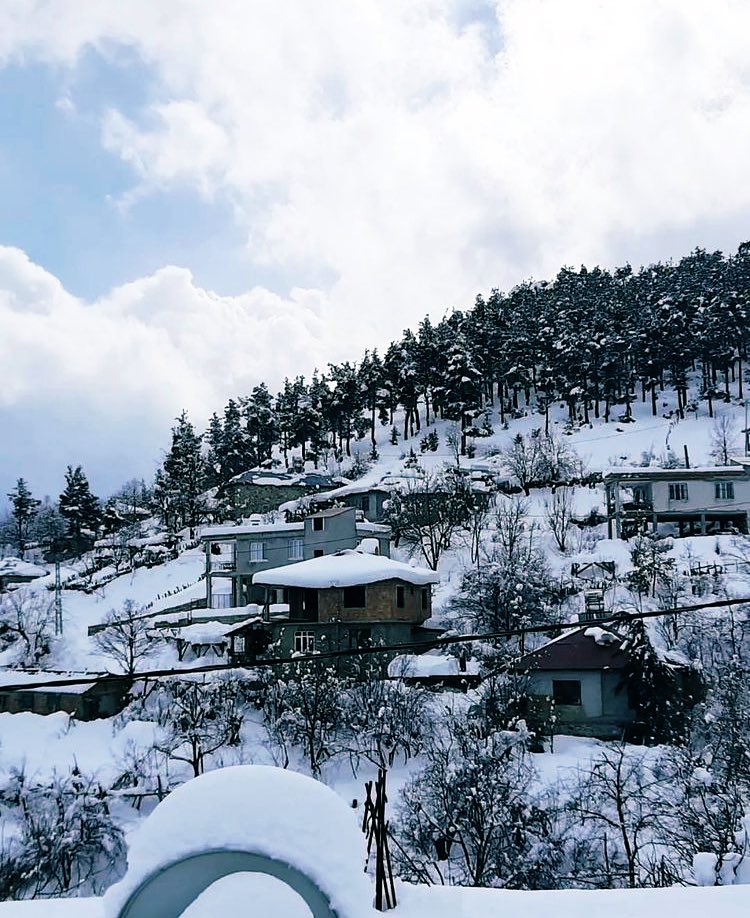 sulekilinc1's tweet photo. Aladağ ❄️
#adana #aladağ #gerdibi https://t.co/1ru1t12LNr