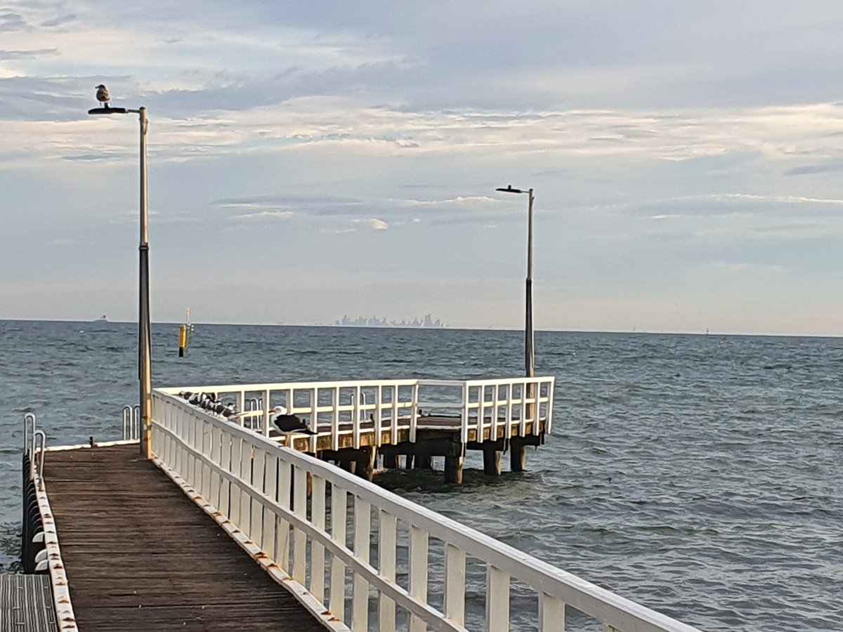 Pivotonian1838's tweet photo. 1/2 good morning ๐ฆ๐บ from #IndentedHeads #Bellarine #GreaterGeelong https://t.co/0S8EndJfOi