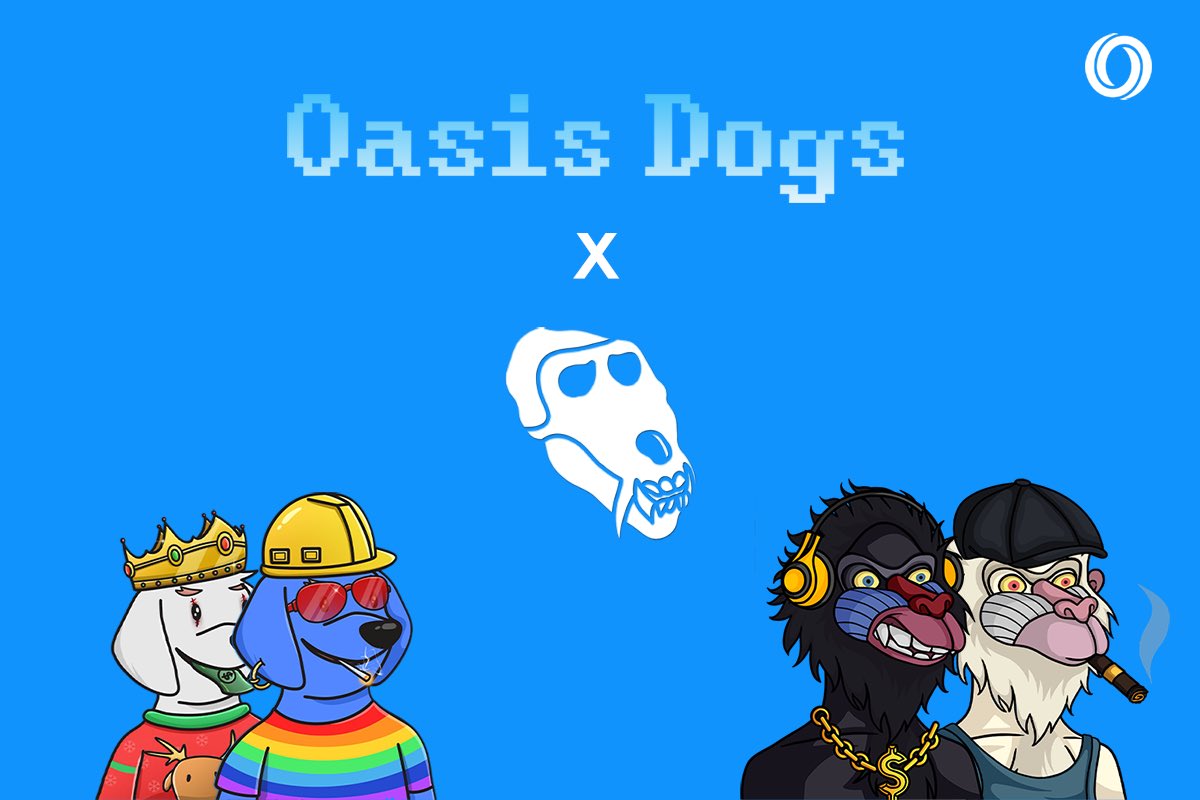 alphamandrills's tweet photo. We are happy to announce our #giveaway collab with @dogsonoasis !

6 winners total: 3 Oasis Dogs &amp; 3 Alpha Mandrills #NFTs up for grabs!

To qualify: 

-Like/RT
-Follow us and @dogsonoasis 
-Tag some friends

#OasisNetwork #oasisprotocol $rose https://t.co/WtnCHessYA