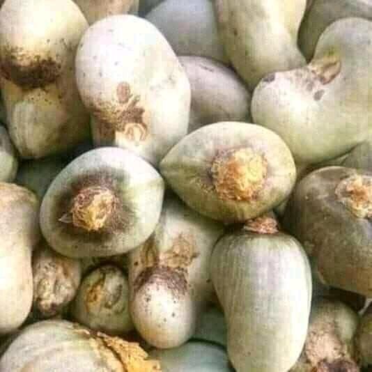 benjamin_export's tweet image. 