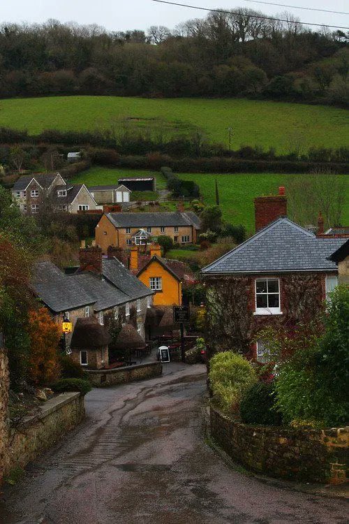 İngiltere, Devon’a git.