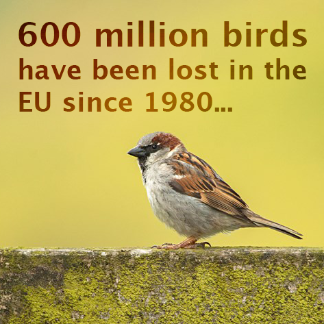 RSPB (@natures_voice) on Twitter photo We need to increase the scale and ambition of nature-friendly farming, species protection, sustainable forestry/fisheries, and rapidly expand the protected area network to help stop bird decline! Read about our report here: bit.ly/LossOfBirdsRep…
#Winterwatch <a href="/BBCSpringwatch/">BBC Springwatch</a> We need to increase the scale and ambition of nature-friendly farming, species protection, sustainable forestry/fisheries, and rapidly expand the protected area network to help stop bird decline! Read about our report here: bit.ly/LossOfBirdsRep…
#Winterwatch <a href="/BBCSpringwatch/">BBC Springwatch</a>