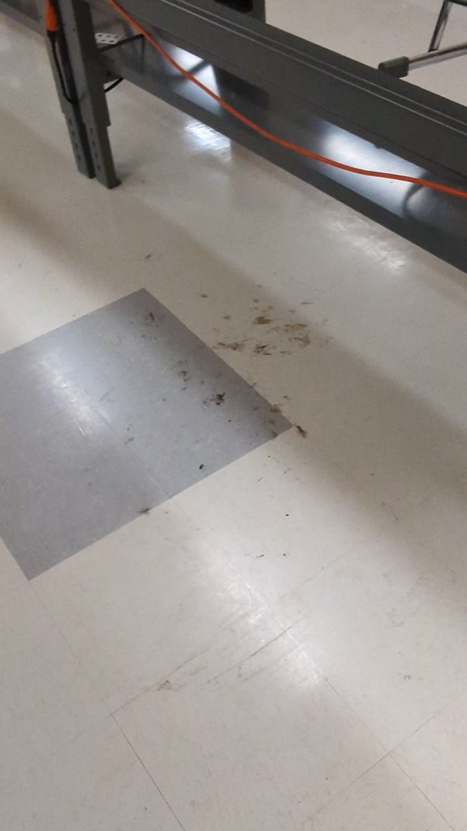 SuedotL's tweet photo. Waited 8 weeks for custodial staff (which is greatly understaffed themselves) to wet mop my classroom floor. Today, I mopped it during my planning periods and before school started because my #students deserve better. Take a look at before photos then after photos in the thread. https://t.co/Jy9Mp6habl