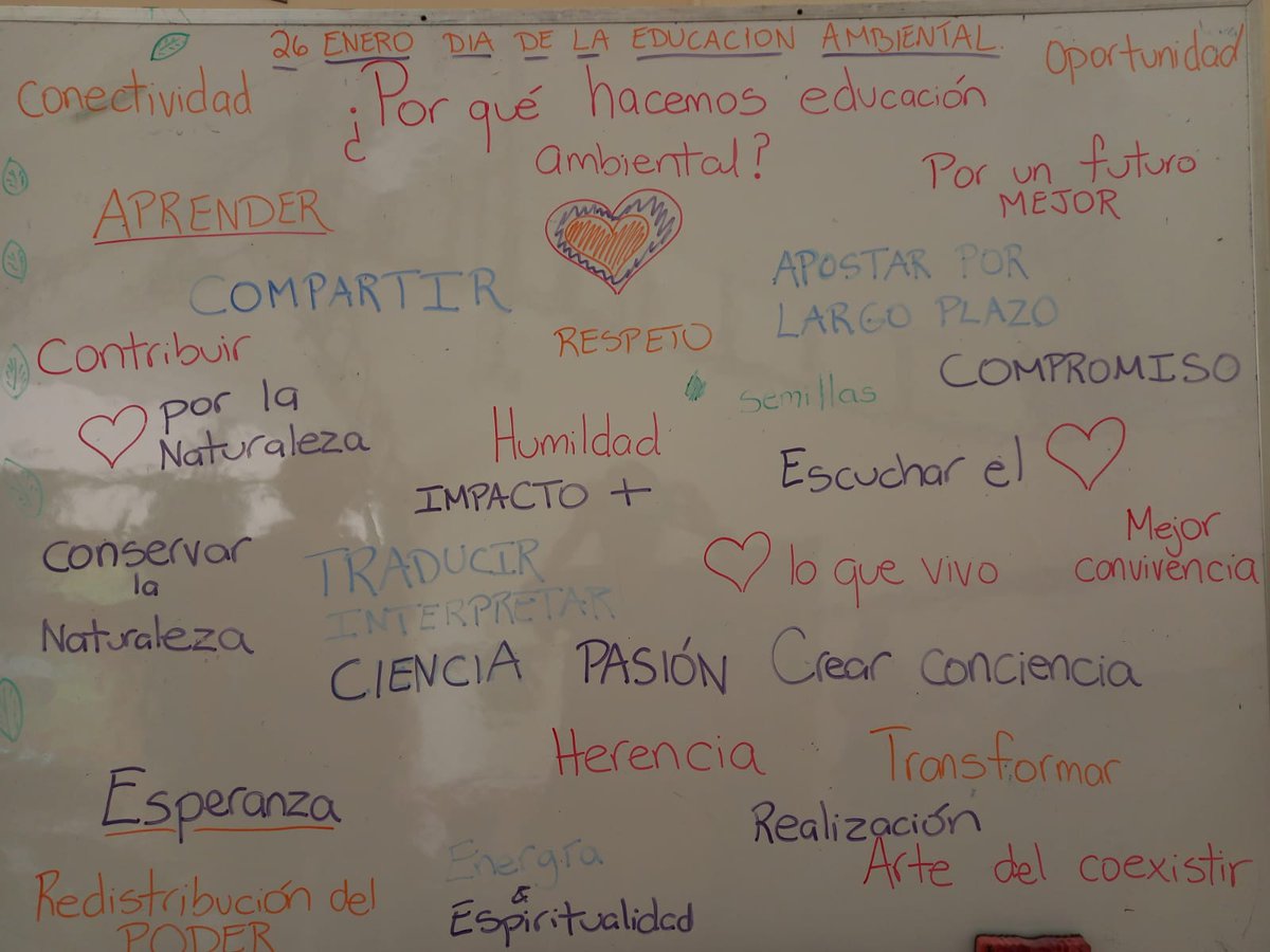 CloudbridgeR's tweet photo. La educación ambiental es una parte fundamental de Cloudbridge, estamos contentos de haber participado ayer en un convivio con otros educadores ambientales de la zona sur.  Esta imagen muestra nuestras varias respuestas a la pregunta ¿Por qué hacemos educación ambiental? https://t.co/RdEA3lV1F2