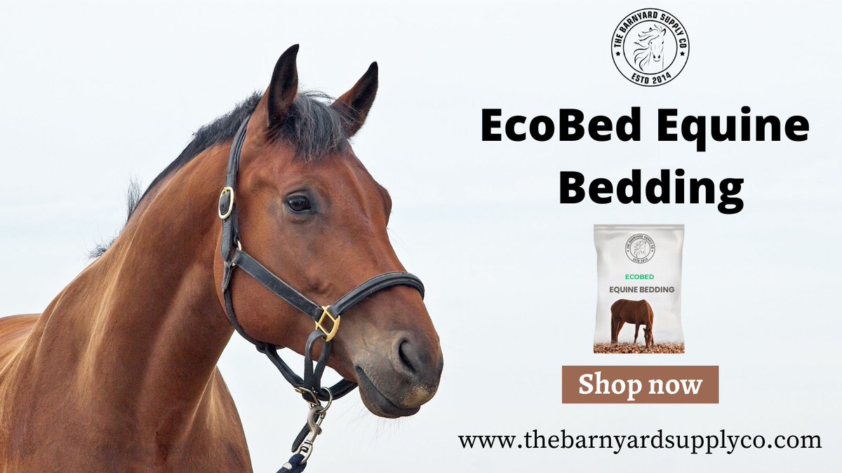 BarnyardSupply's tweet photo. EcoBed Equine Bedding is a highly comfortable, eco-friendly bedding.

Shop Now: https://t.co/Y5Mc6e99wN

#pethorse #horseofusa #Equine #comfort #petstore #equinestore #horsebedding  #Ecobed #usahorse #longlasting #Equinebedding #Ecobedhorse #Thebarnyardsupplyco #California #USA https://t.co/c6W2gzennk
