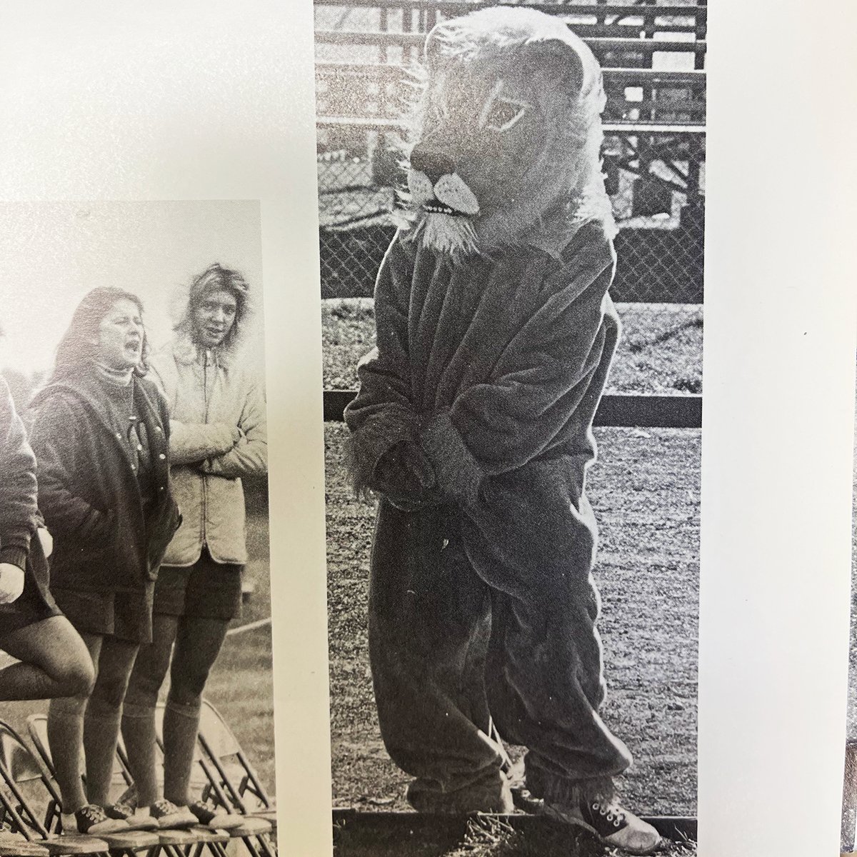 normandale_cc's tweet photo. A little #vintagenormandale for your Thursday! This old-school Norm the Lion getup is giving us big snuggly fleece blanket vibes - perfect for a freezing January day...wonder if we can find it in storage?
#NormandaleCommunityCollege #CommunityCollege #RoaringRed https://t.co/xD1sk1TqHe
