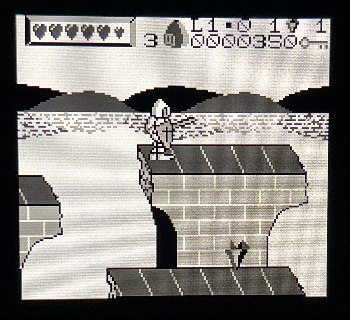 David Amador 🐙 tweet media