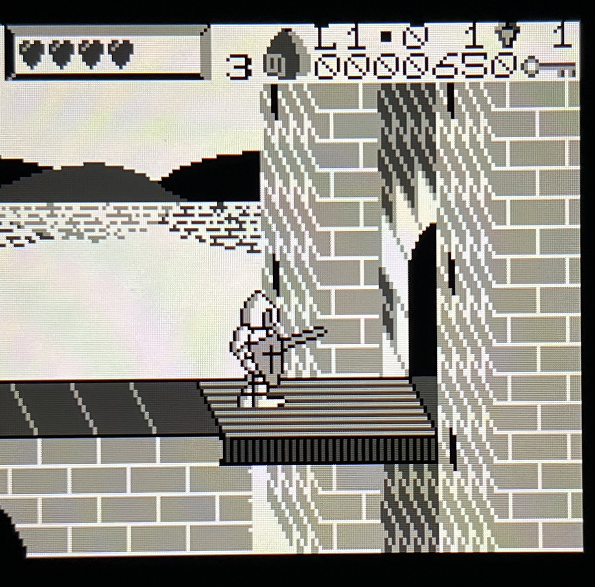 David Amador 🐙 tweet media