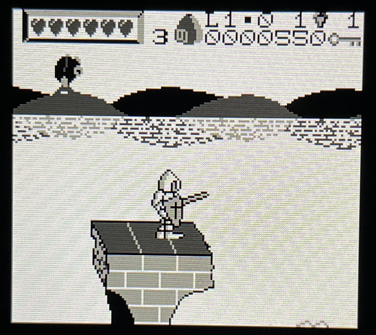 David Amador 🐙 tweet media