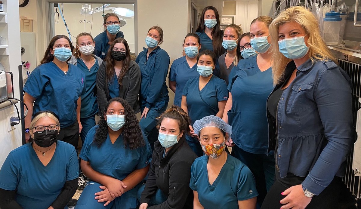 Mohnacky_Vets's tweet image. Congratulations Team Carlsbad! We have passed our AAHA re-accreditation!