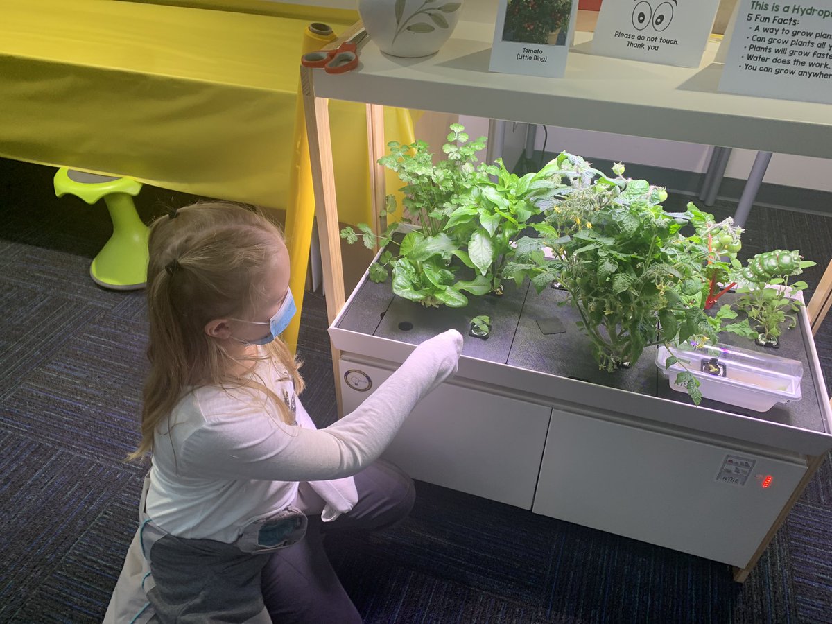 newlothropsupe's tweet photo. Thank you #MPEF for the hydroponic grow station. Our EES 2nd grade students had the opportunity to create a hydroponic garden. Preparing students with skills for tomorrow’s world. @MattawanCSD @MattawanSupe https://t.co/UE5JnYpH09