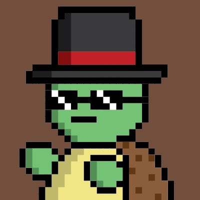 takeover_nft's tweet photo. @jackwhanley Which Turtle would you rather own? Let us know! 👇
🐢
#NFT #NFTs #SolanaNFTs  #NFTCommmunity #turtletakeover https://t.co/ZckbNyrjF0