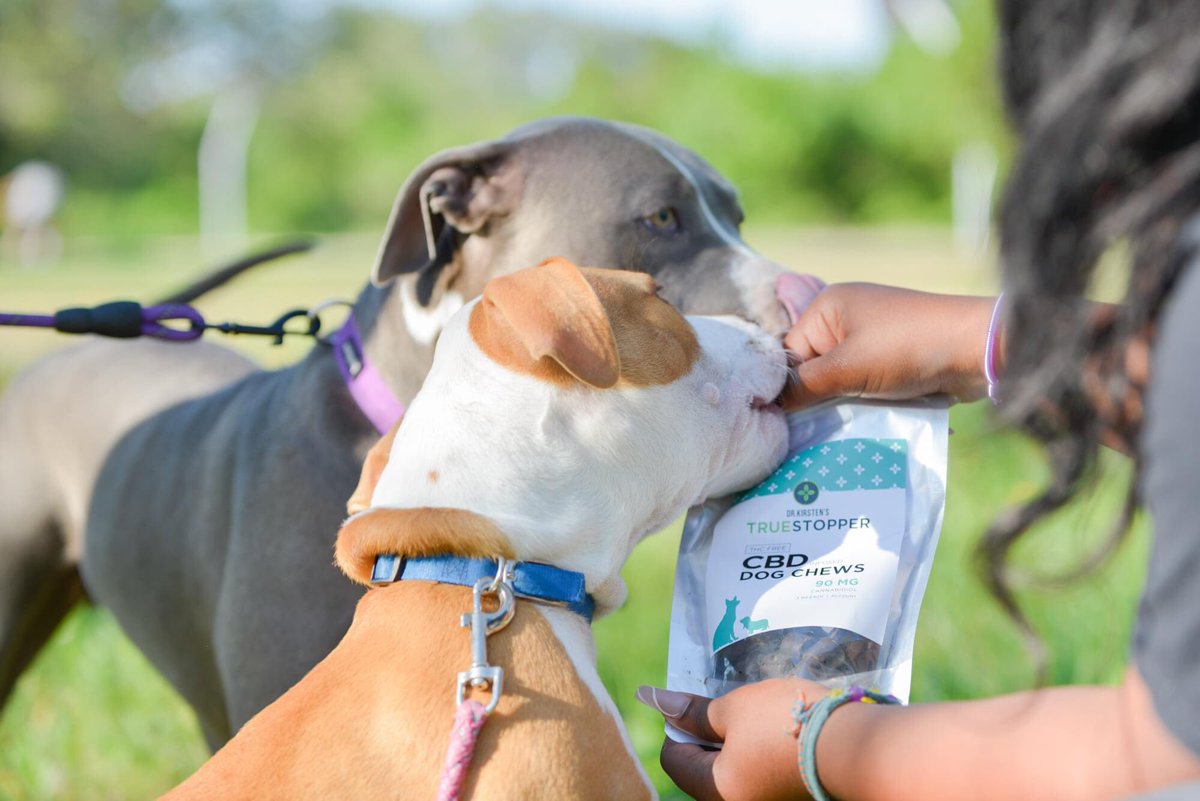 ThePainStopper's tweet photo. What better way to reward your loyal companion than with a tasty that makes them feel better! TrueStopper® #CBD #Dog Chews are made with our superior quality broad spectrum CBD with dog-safe ingredients &amp; benefits you’re sure to notice. 
https://t.co/ijIwzYBSuv https://t.co/N6JUNLoKuD