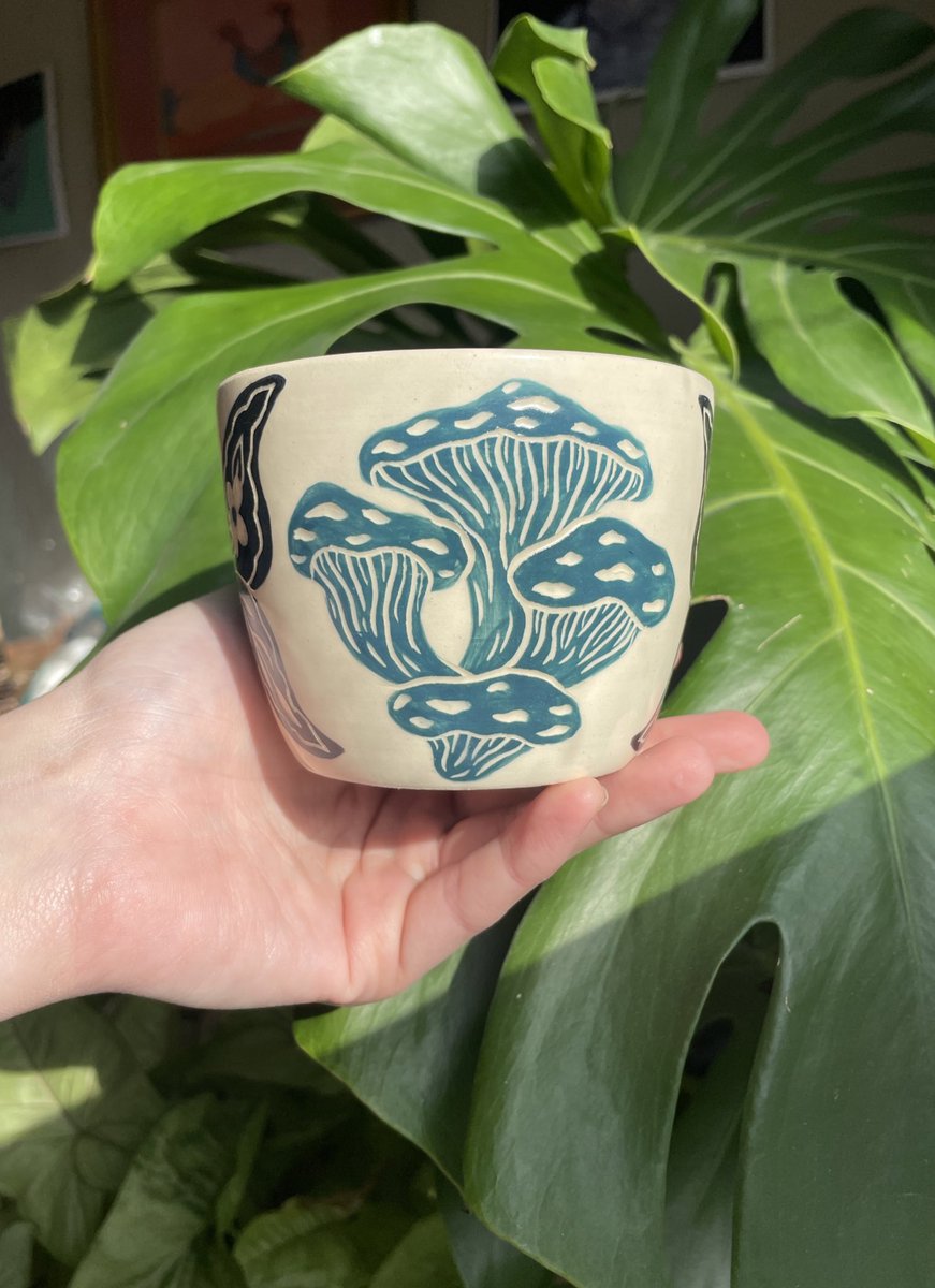 MaeveHilgers's tweet photo. 🦋🍄 https://t.co/rTEqfo9rvI
