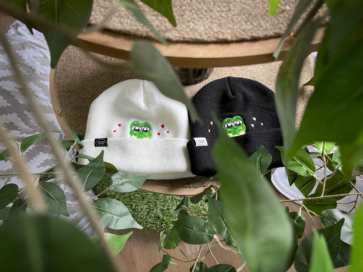 Macaiyla tweet media