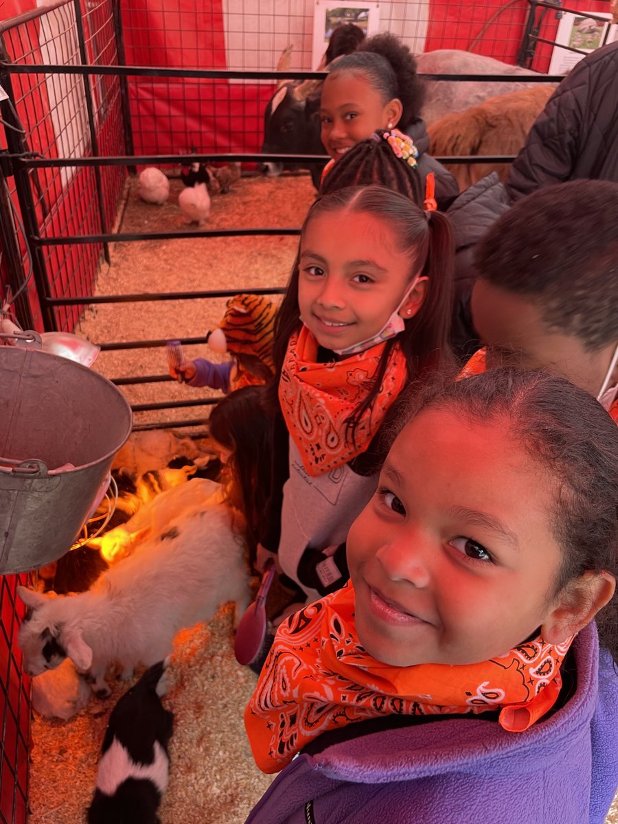 MLPhillipsFWISD's tweet photo. Second graders had a wonderful time learning all about animals and rodeo today at the Fort Worth Stock Show! #fwisd #teammlp https://t.co/gHqAWfVU9I
