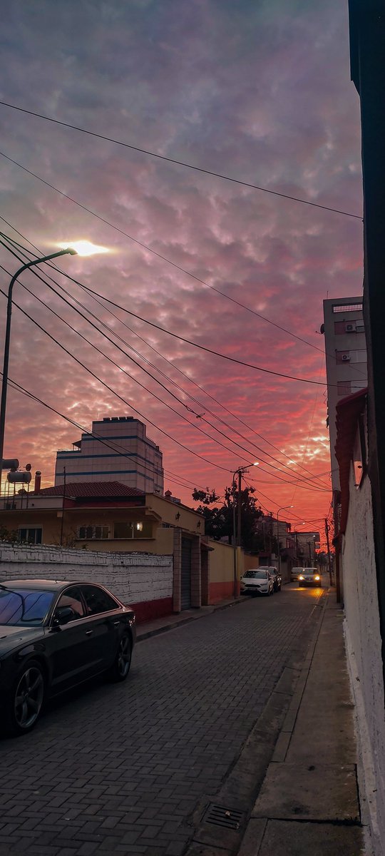 niveousCassie's tweet photo. the sky under which I walk.
#sunsun #SunsetWithYou_Def #view #Skyrim #photographylovers #follo4folloback #LikeForLikes https://t.co/qvxSygqvfI