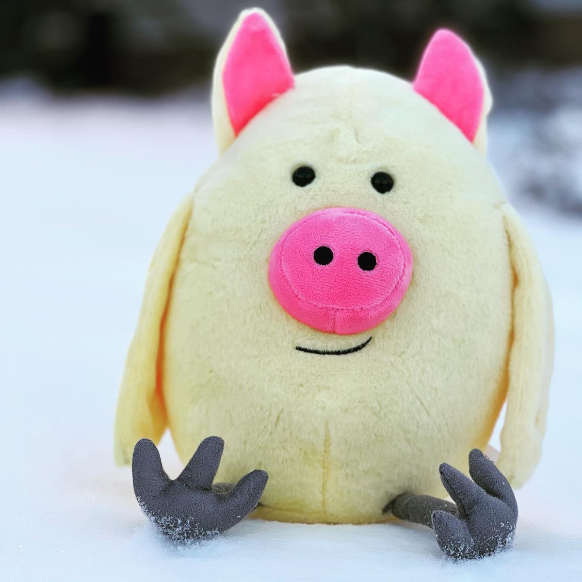 Little Joe in the snow ❄️ #chickapig #snowday #littlejoechickapig #littlejoeonthego