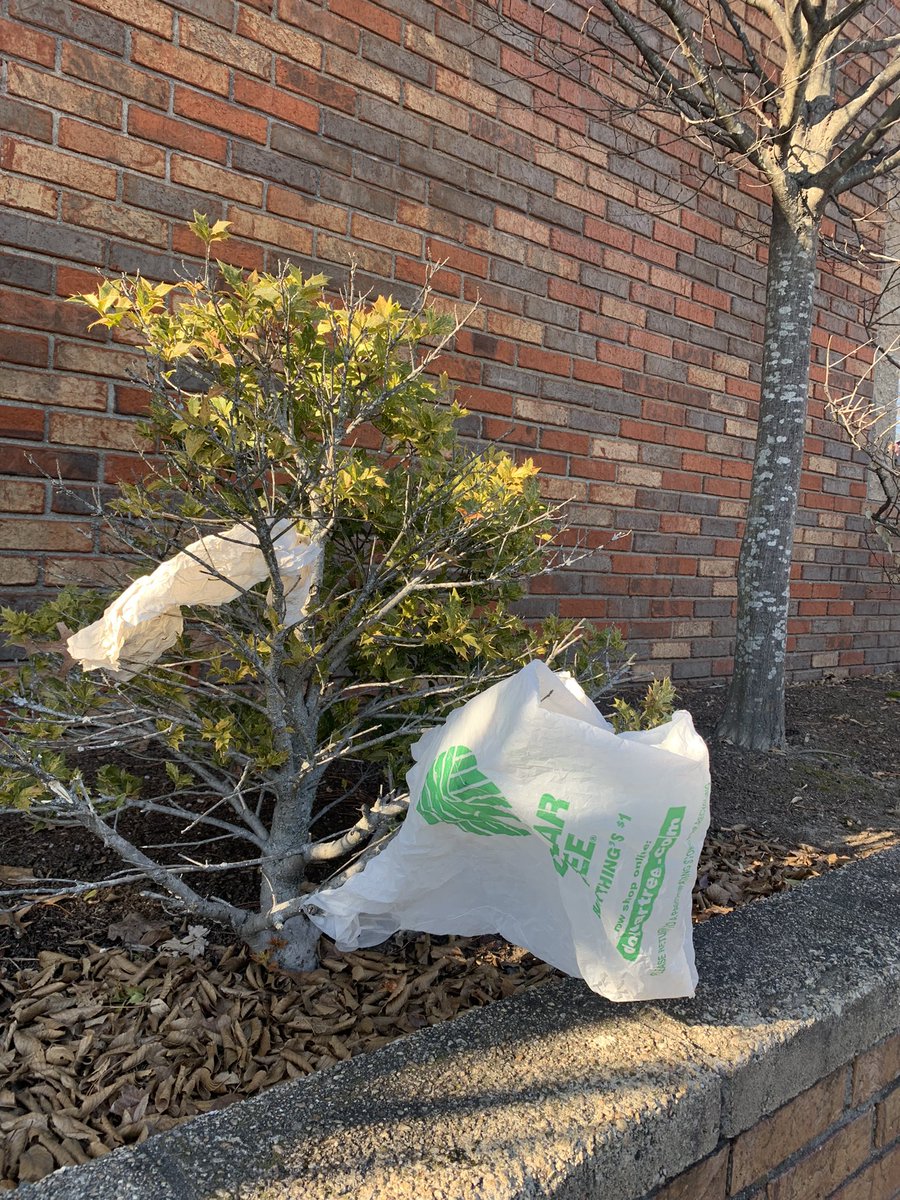 Saw a reminder this afternoon that RI still hasn’t banned #SingleUse plastic bags. Let’s finally get it done in 2022! @SenatorRuggerio @repmcentee33 @cleanwater_ri @SaveTheBayRI @RIAudubon @cleanoceanacces @ZeroWastePVD @EnvCouncil_RI