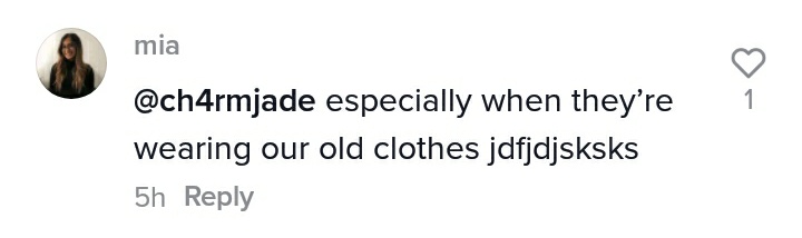 I'm sorry but was this supposed to be funny? Is insulting Filipinos that funny just because FIL-AMS has the privilege to experience better things in life? 

Is it a trend to look down and make fun of your Filipino relatives that couldn't afford the same lifestyle that Fil-AM have