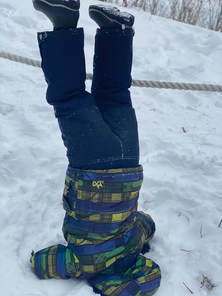 Nick Lenos tweet media