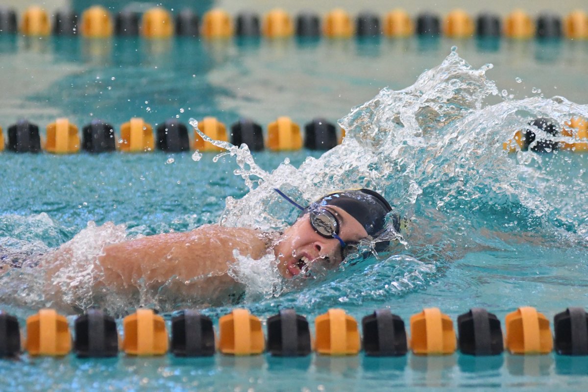 LindseyShuey's tweet photo. Images from tonight's @SchLeague Schuylkill League swim meet between Pottsville @PAHSathletics and Schuylkill Haven! More on @repheraldsports and in tomorrow's paper. https://t.co/yvB77GIsSr
