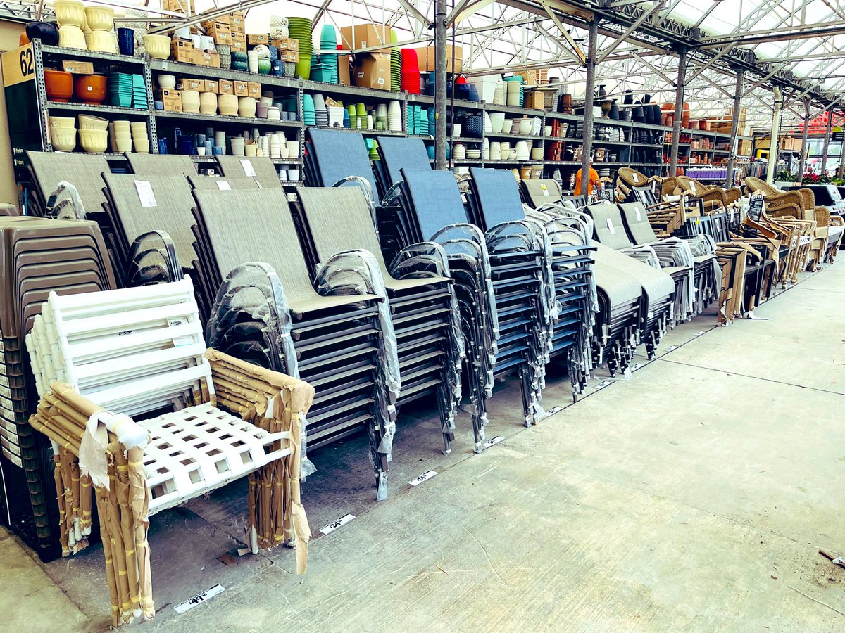 Maximus2022$ (@giodelaney) on Twitter photo 