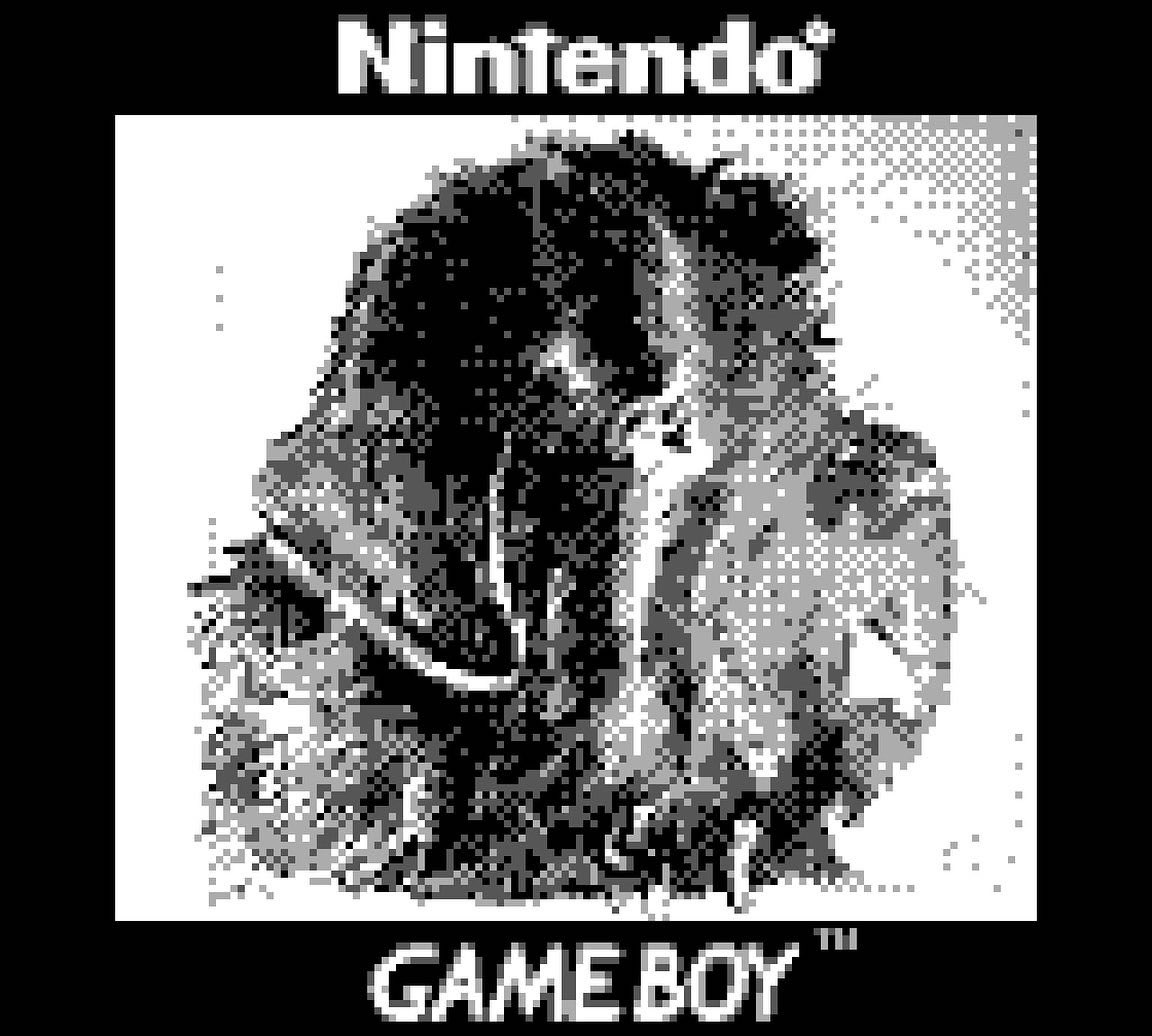 i may or may not collect 1-of-1 dog pieces and display them at work
•
•
•
#milwaukee #mke #gameboy #gameboycamera #retro #videogames #nintendo #bitboy #8bit #pixelart #photooftheday #gameboycameraclub #dog #localart #supportlocal #localartist #deskdog