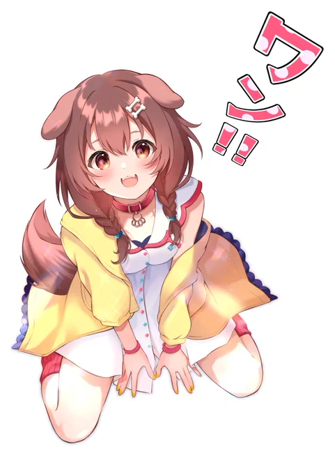 #できたてころね
#タクミンDXの100枚ころね
2枚目 お座り‼️ 