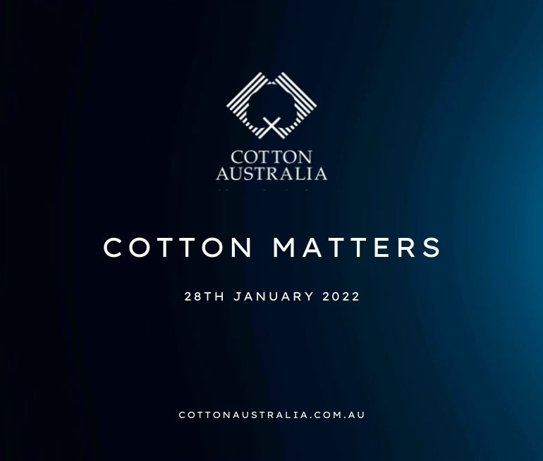 Want the latest news from Cotton Australia for the Australian cotton industry?

You can now read the latest edition of Cotton Matters online ➡️ cottonaustralia.com.au/news/cotton-ma…

#cotton #news #auspol #nswpol #qldpol #auscotton #Australia
