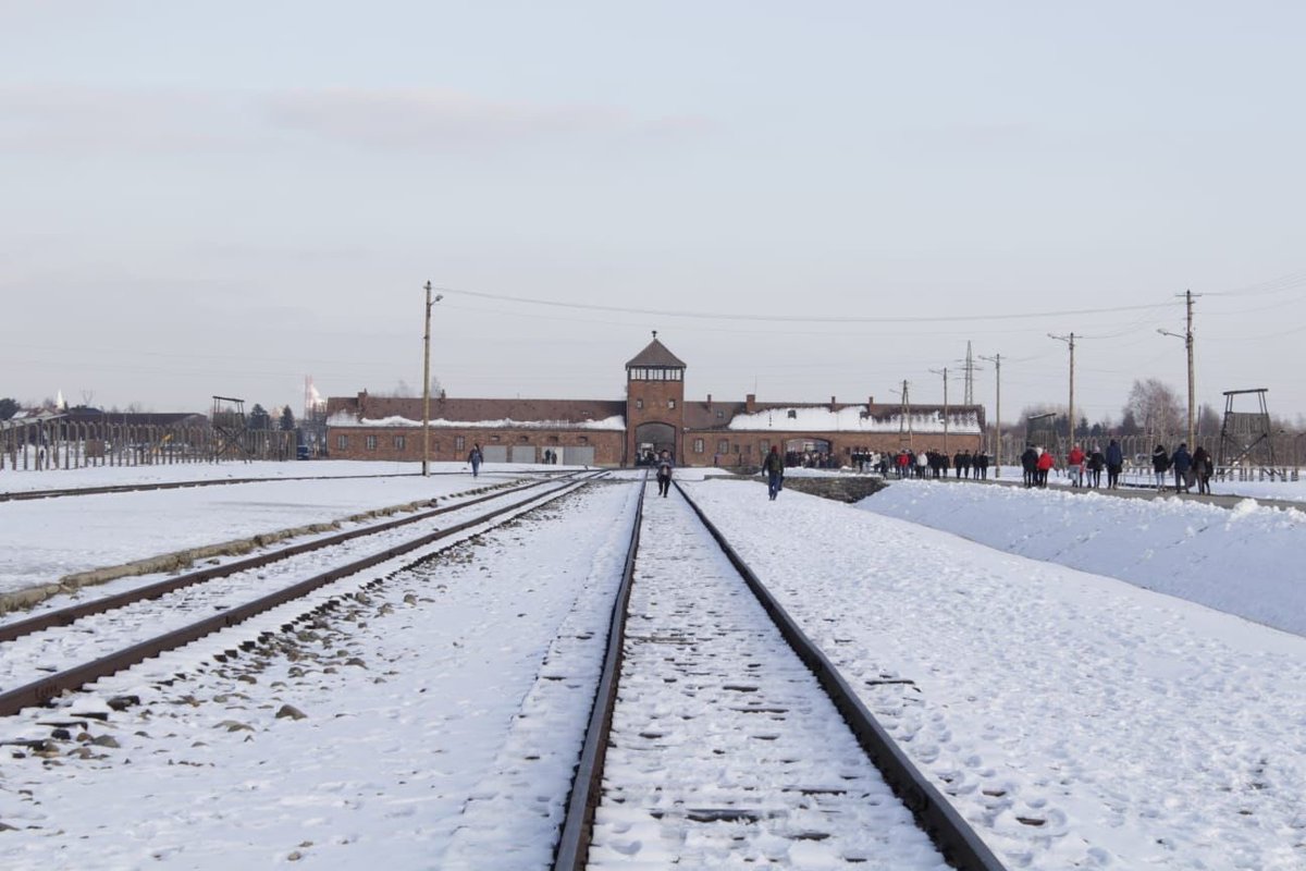 ProgettoAlfa's tweet photo. Non dimentichiamo, non chiudiamo gli occhi, ma continuiamo a ricordare per non ripetere mai più gli errori fatti da coloro che ci hanno preceduto.

#27gennaio #Shoah #GiornodellaMemoria2022 https://t.co/Qgdn2ZbmbW