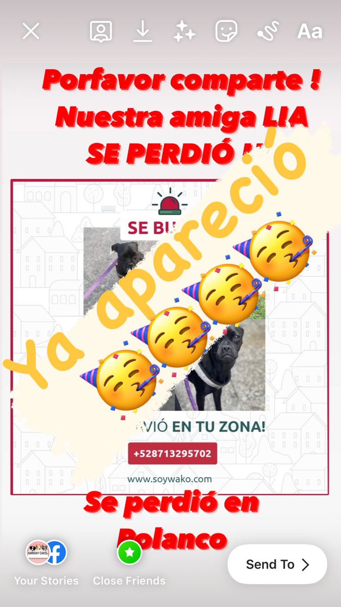 ursus_19's tweet photo. Ya apareció !!  perrita  perdida en Polanco @_PatriciaAnaya @mariadogg @perrososmx @lavozdepolanco @AlcaldiaMHmx https://t.co/TsH8zweac4