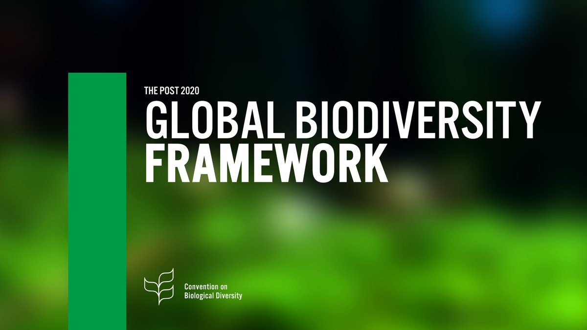 UNBiodiversity's tweet photo. 🚨 @UNBiodiversity has confirmed that the resumed sessions of SBSTTA-24, SBI-3 and WG2020-3 will proceed as planned from 14 to 29 March in Geneva, Switzerland, with registration and preparatory regional meetings on 13 March.

More information:
https://t.co/fpnFfCoVtU

#ForNature https://t.co/7XCC77DBtZ