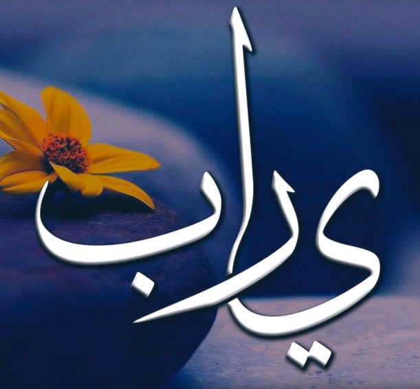 اللّٰهُم إنَّ في يوم الجمعة ساعة إجابة أنت أعلم بها، نسألك فيها أنّ تدوم السكينة في قلوبنا، والسعادة في بيوتنا، والصحة في أبداننا، والتوفيق في حياتنا، والأرزاق في أعمالنا، والأمان في دروبنا، والنور في وجوهنا، وأن تغفر لنا ولوالدينا، وترحمنا وتعفو عنا وتجبر بخواطرنا..