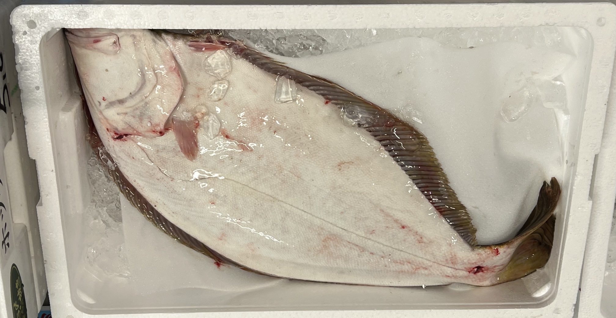 ネット販売専門魚屋from豊洲市場 築地 魚健 ウニ カニ 牡蠣 鮮魚 Uoken Isobe Twitter